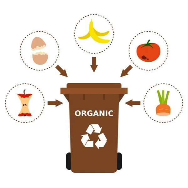 Immagine di rifiuti-organici