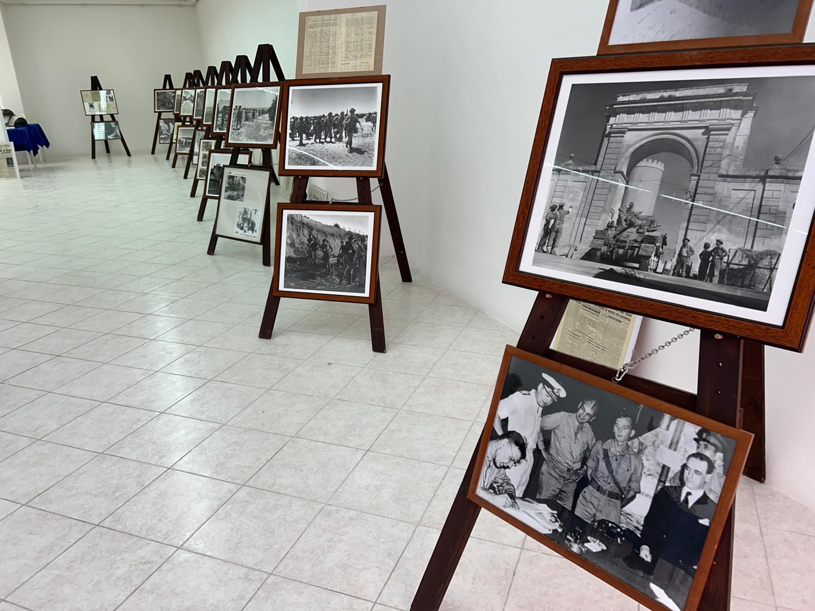 Museo 3